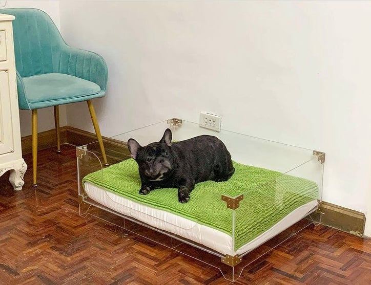 Acrylic 2025 dog bed